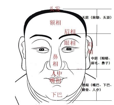 中正凹陷|据面相大师说这四个部位凹陷，特别影响运势